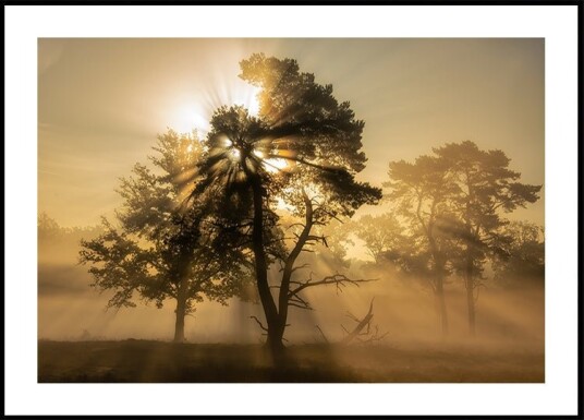 Popping sunrise.... Plakat Plakat / 21x30cm Popping sunrise.... Plakat Plakat / 21x30cm