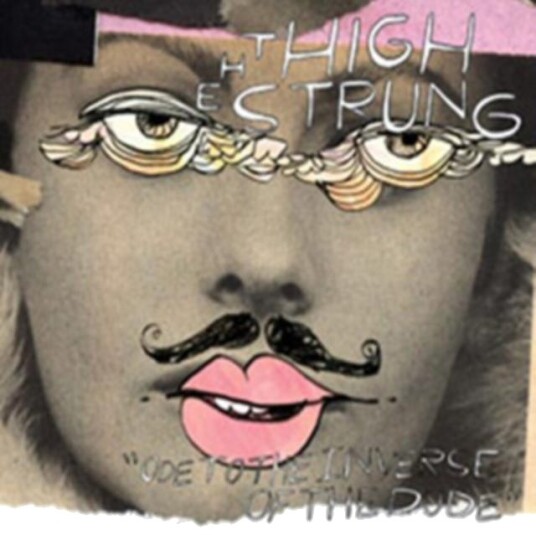 The High Strung Ode To The Inverse Of The Dude CD