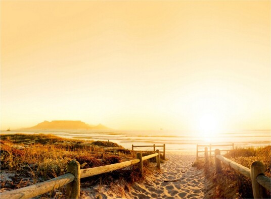 Fototapet Going The Sun 250x193 - Artgeist sp. z o. o.