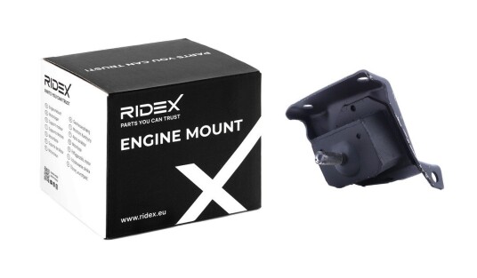 Motorfeste RIDEX 247E0753