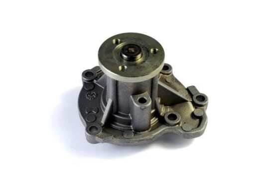 THERMOTEC D11071TT Vannpumpe