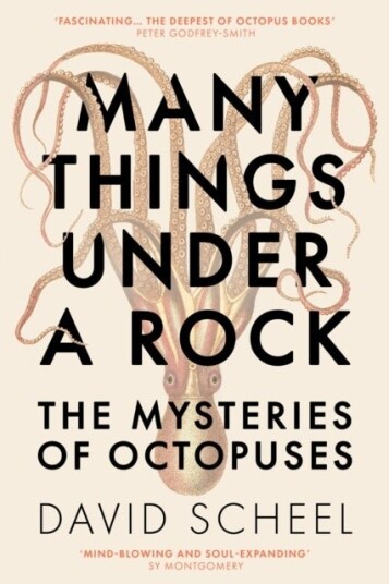 Many Things Under a Rock Many Things Under a Rock