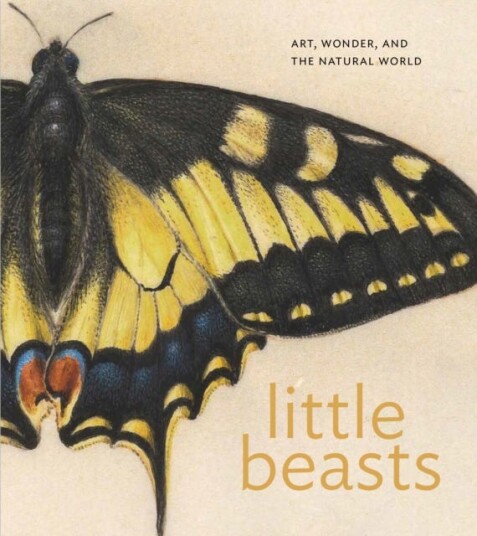Little Beasts  Art, Wonder, and the Natural World
