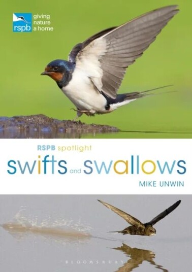 Rspb Spotlight Swifts And Swallows Av Mike Unwin