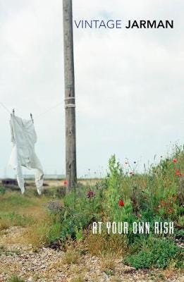 At Your Own Risk A Saint's Testament