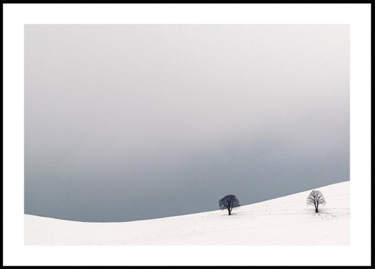 Two Alone Plakat Plakat / 50x70cm Two Alone Plakat Plakat / 50x70cm