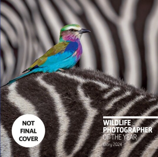 Wildlife Photographer of the Year: Desk Diary 2024 Wildlife Photographer of the Year: Desk Diary 2024