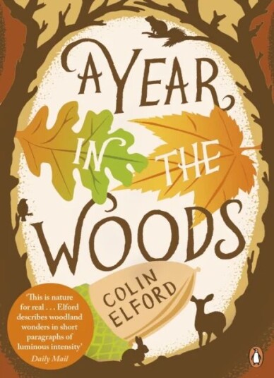 A Year In The Woods Av Colin Elford