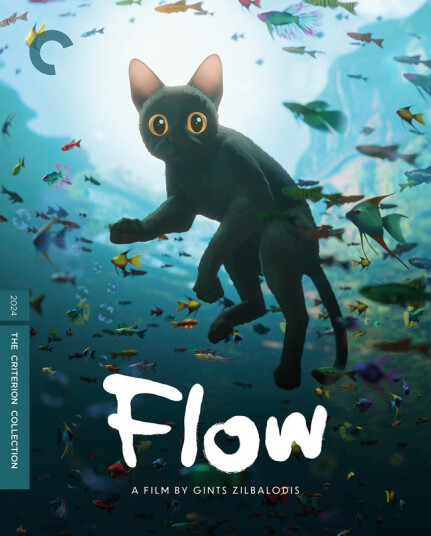 Flow 2024 Bluray