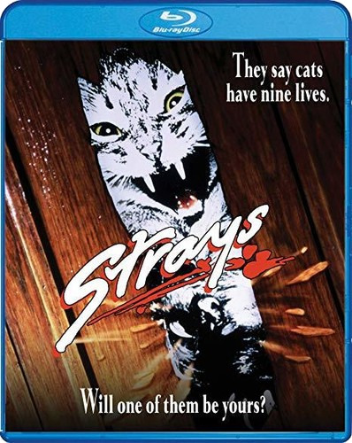 Strays 1991 Bluray