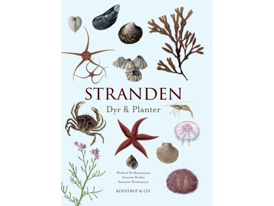 Stranden | Michael Bo Rasmussen, Annette Bruhn | Språk: Dansk