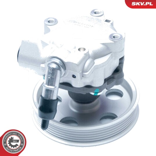 ESEN SKV 10SKV185 Servopumpe