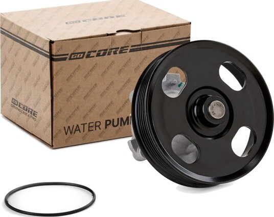 Vannpumpe GOCORE GCA2600015