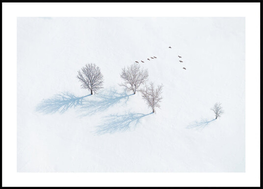 Trees and Birds Plakat Plakat / 21x30cm Trees and Birds Plakat Plakat / 21x30cm