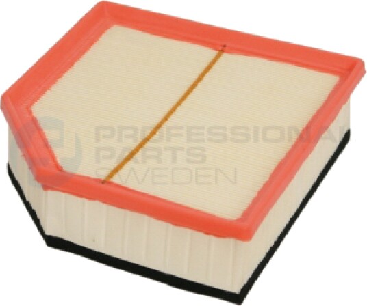 Luftfilter Professional Parts 24430293