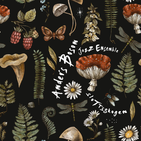 Anders Boson Jazz Ensemble, Anders Boson Slottsskogen CD