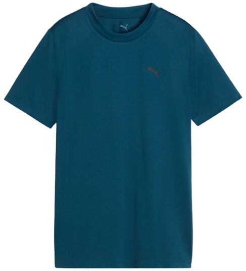 Puma Trenings t skjorte Tad Ess Tee B