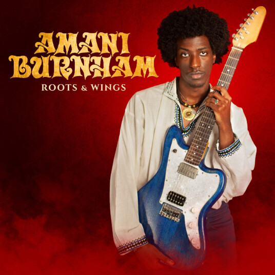 Amani Burnham Roots & Wings CD