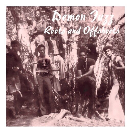 Demon Fuzz Roots And Offshoots LP/Vinyl