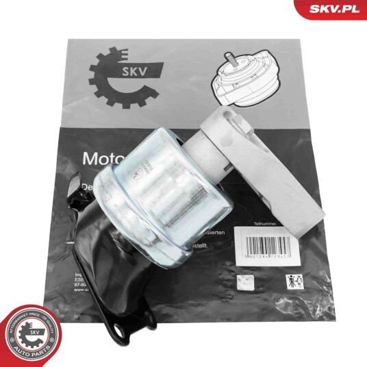 Motorfeste ESEN SKV 75SKV174