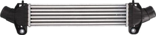 Intercooler THERMOTEC DAG009TT