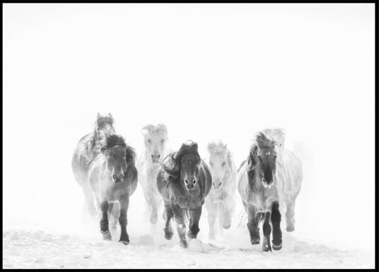 Majestic Horses Winter Plakat / 30x40 Majestic Horses Winter Plakat / 30x40