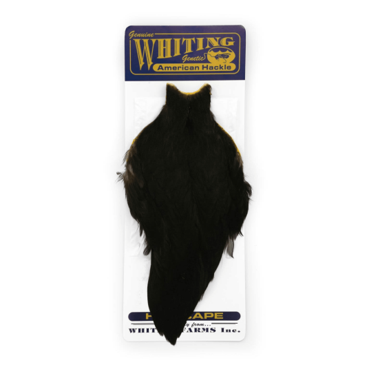 Whiting American Hen Cape Black