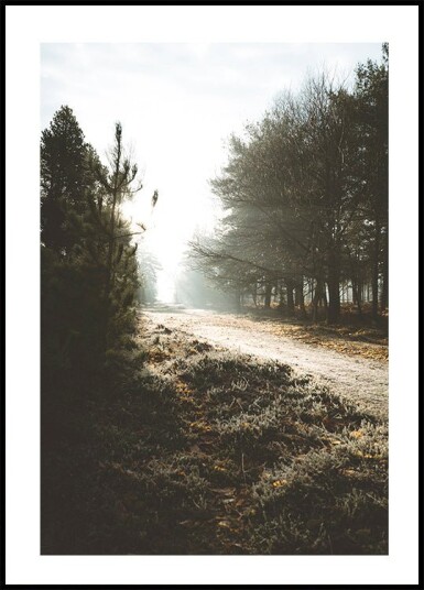 New Forest Plakat Plakat / 40x50cm