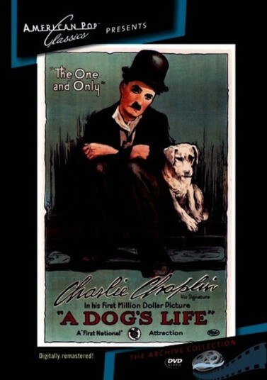 Dog's Life DVD