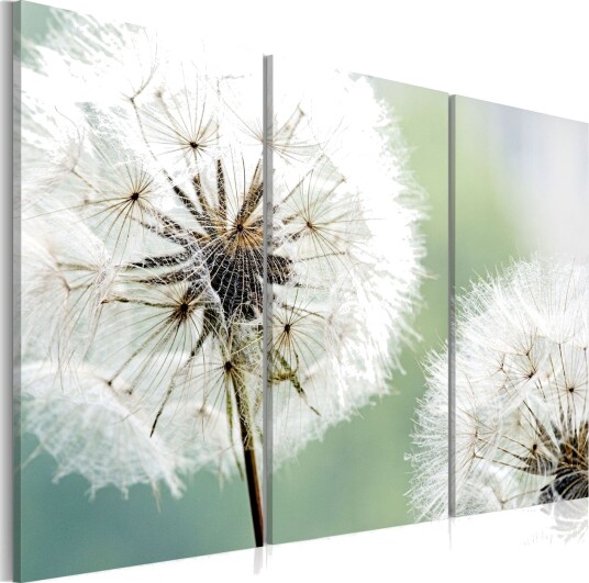 Bilde Fluffy Dandelions 120x80 Artgeist sp. z o. o.
