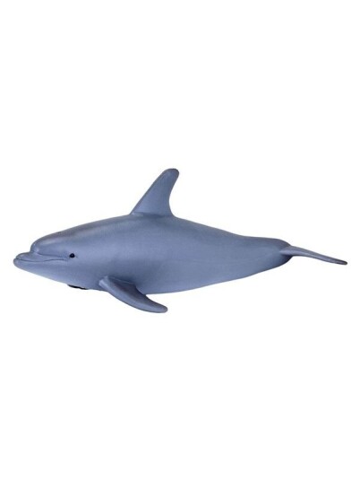 Mojo   Sealife Bottlenose Dolphin   387118