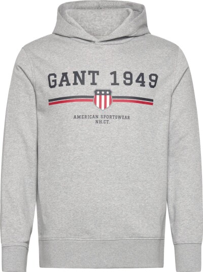 Gant Graphic Hoodie Grey XXXL