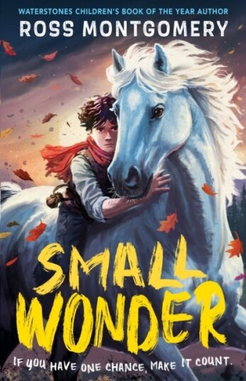 Small Wonder Small Wonder