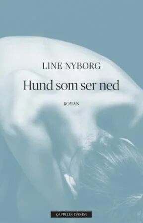 Hund Som Ser Ned Av Line Nyborg