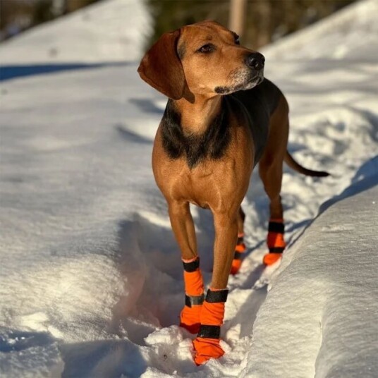 Non-Stop Dogwear Kontakt Bootie Høy Hundesko XL 4pk - Oransje