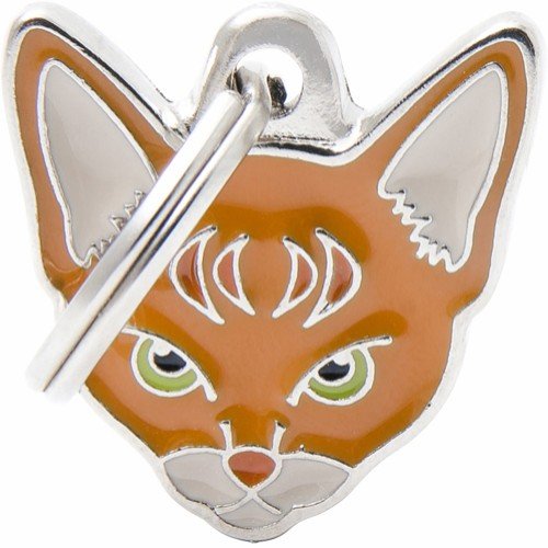 Kattinorge Myfamily Abyssiner IDtag Kattinorge Myfamily Abyssiner IDtag