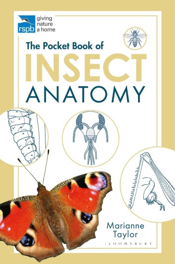 The Pocket Book Of Insect Anatomy Av Marianne Taylor The Pocket Book Of Insect Anatomy Av Marianne Taylor