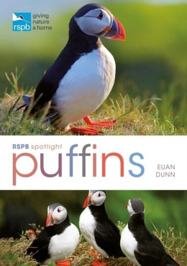 Rspb Spotlight: Puffins Av Euan Dunn