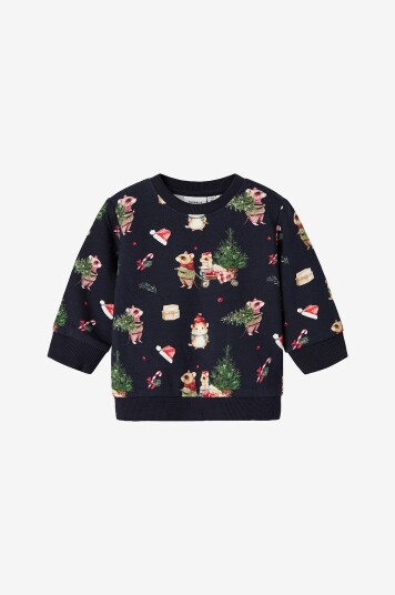 Name It Baby Collegegenser Nbnrenu LS Sweat Bru Blå