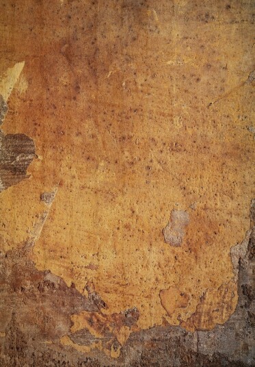Wilton teppe Valbona rust Størrelse: 130 x 190 cm
