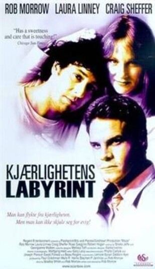 Kjærlighetens Labyrint DVD