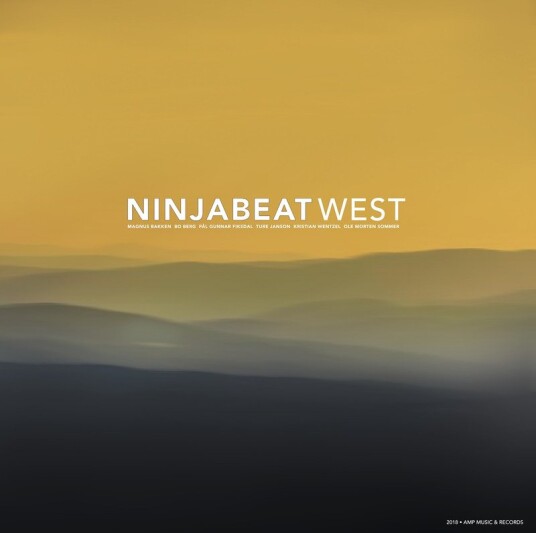 Ninjabeat West Vinyl