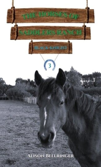 The Horses of Saddlers Ranch: Black Knight The Horses of Saddlers Ranch: Black Knight