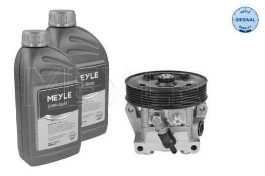 Servopumpe MEYLE 714 631 0025/S Servopumpe MEYLE 714 631 0025/S