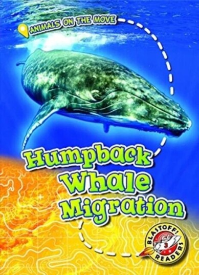 Humpback Whale Migration Av Kari Schuetz