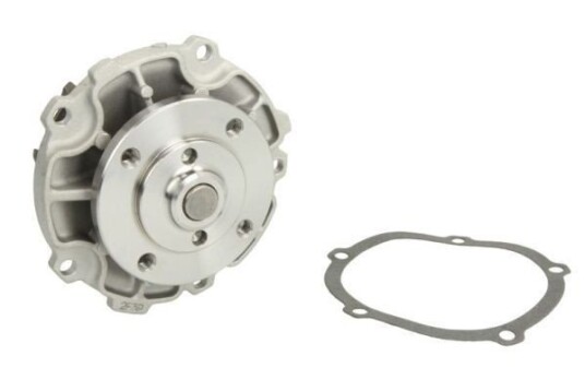 THERMOTEC D1Y029TT Vannpumpe