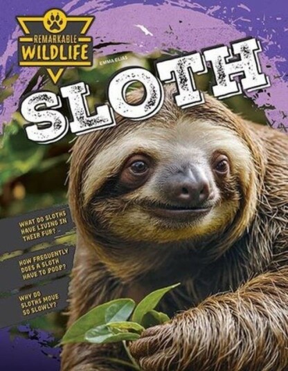 Sloth Sloth
