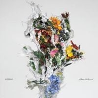 Bengans Big Brave - A Chaos Of Flowers