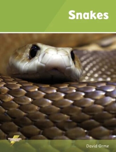 Snakes Av David Orme Snakes Av David Orme