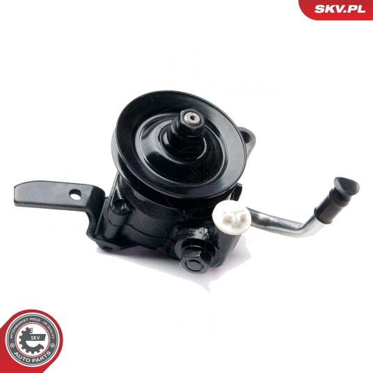 Servopumpe ESEN SKV 10SKV210
